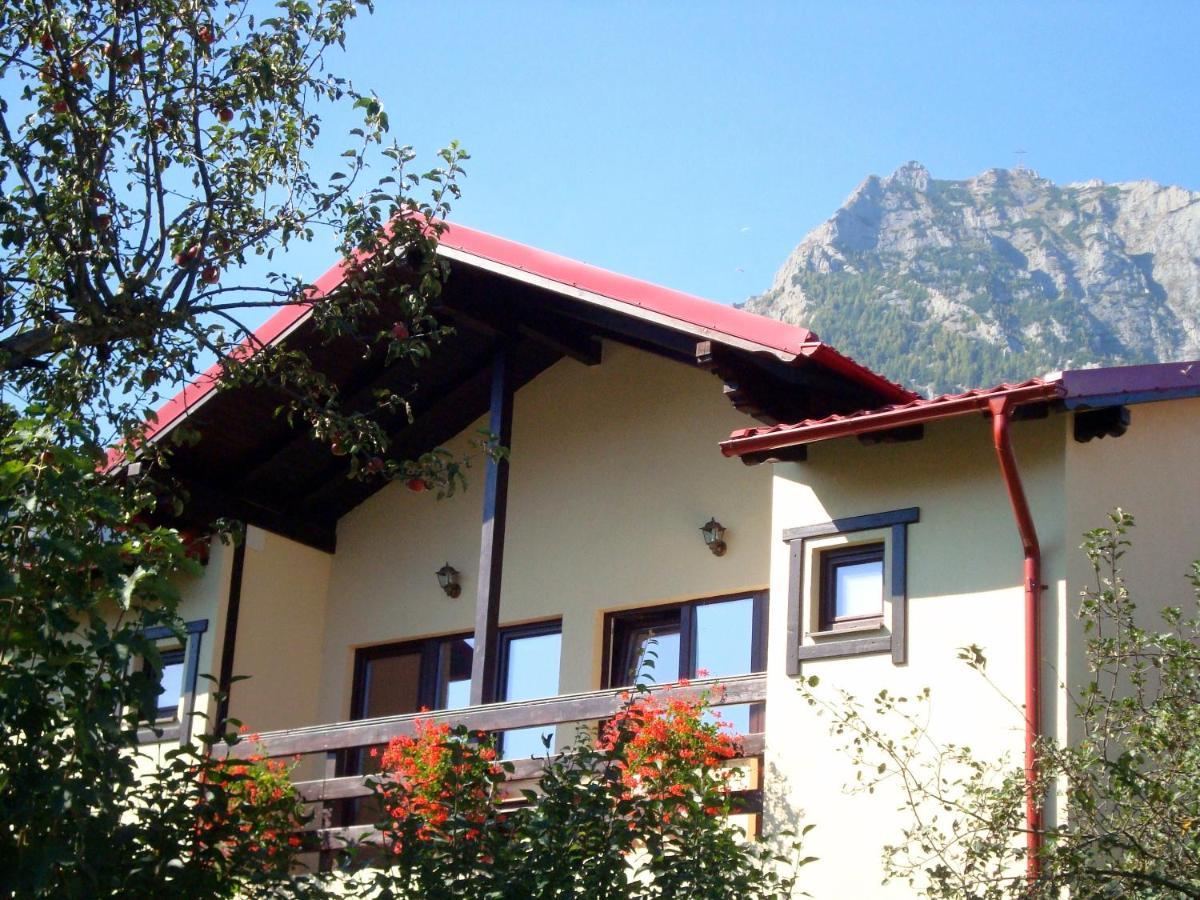 Casa cu Flori Hotel Buşteni Exterior foto