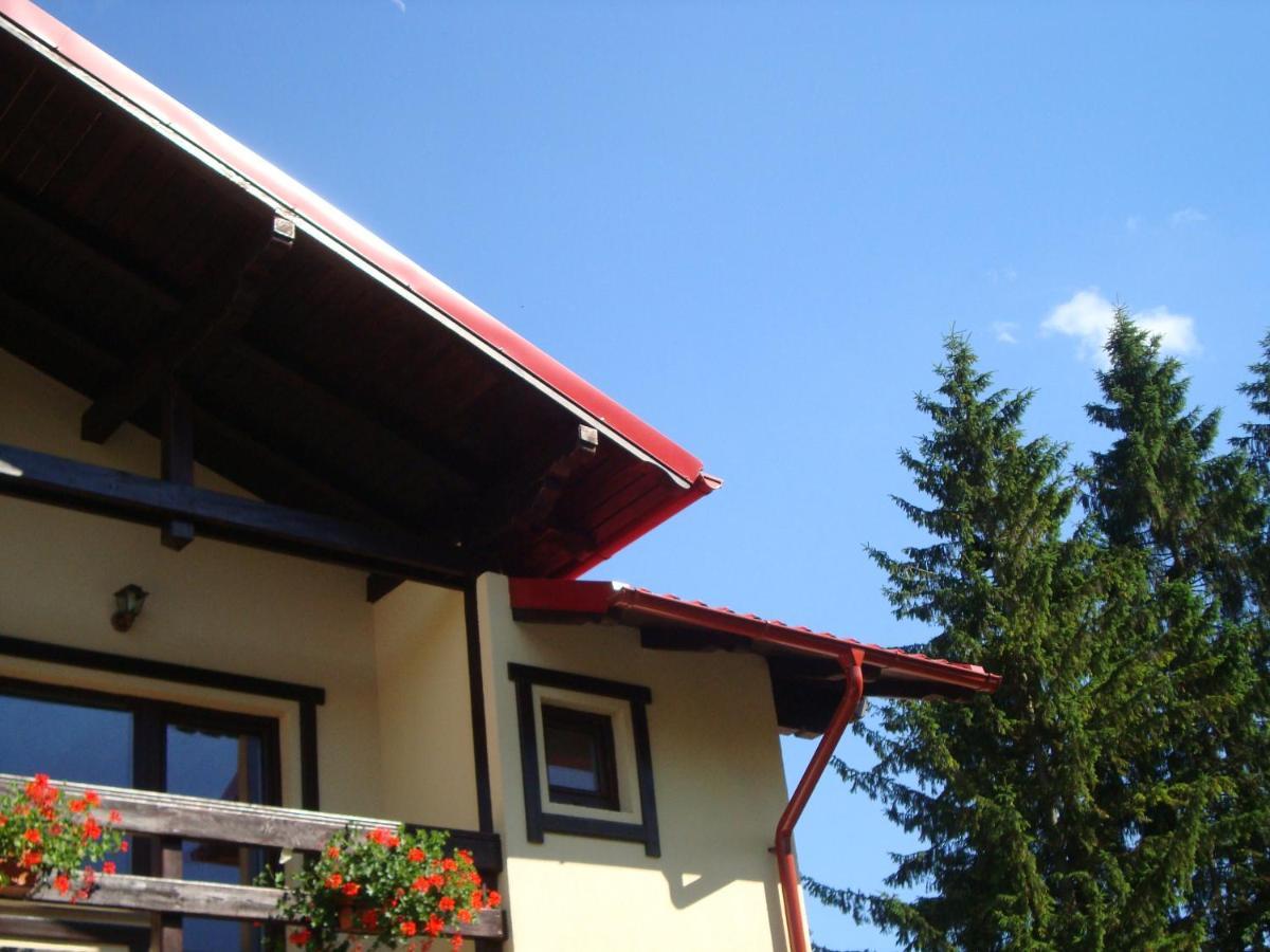 Casa cu Flori Hotel Buşteni Exterior foto