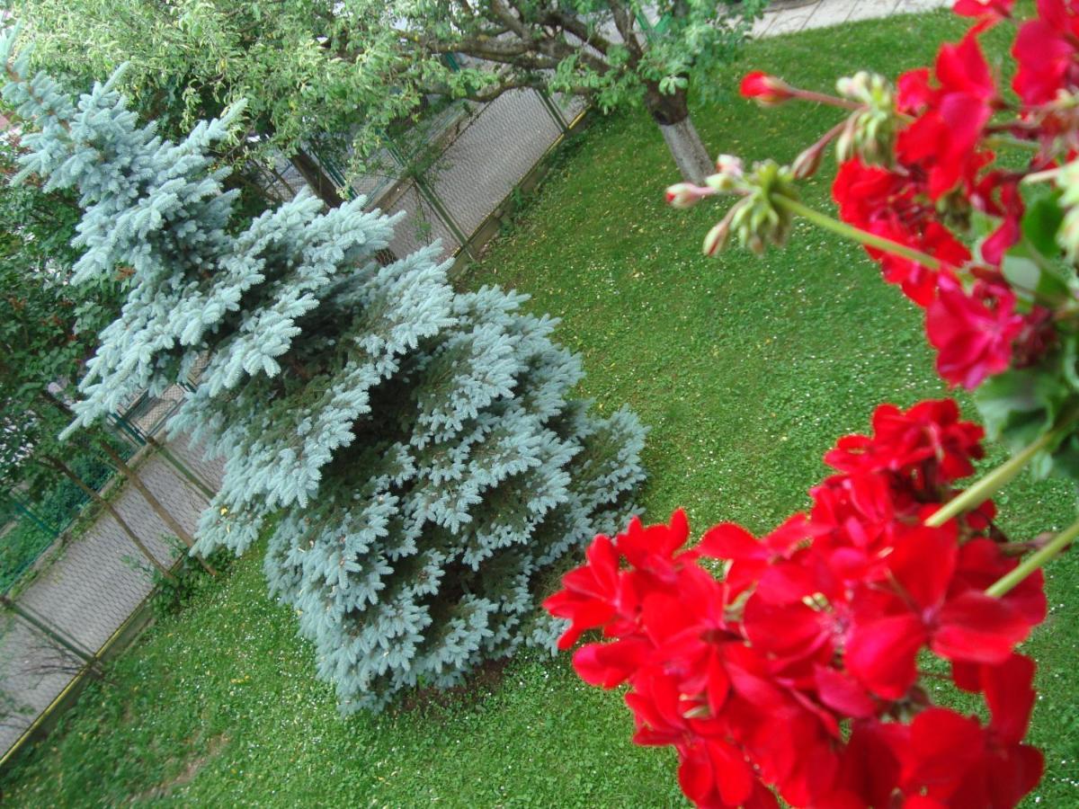 Casa cu Flori Hotel Buşteni Exterior foto
