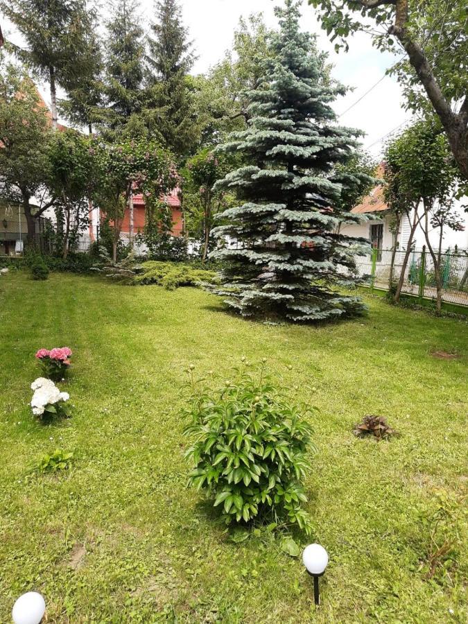 Casa cu Flori Hotel Buşteni Exterior foto