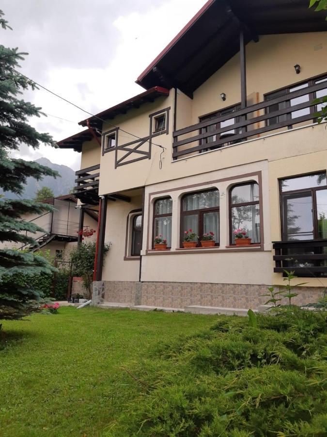 Casa cu Flori Hotel Buşteni Exterior foto
