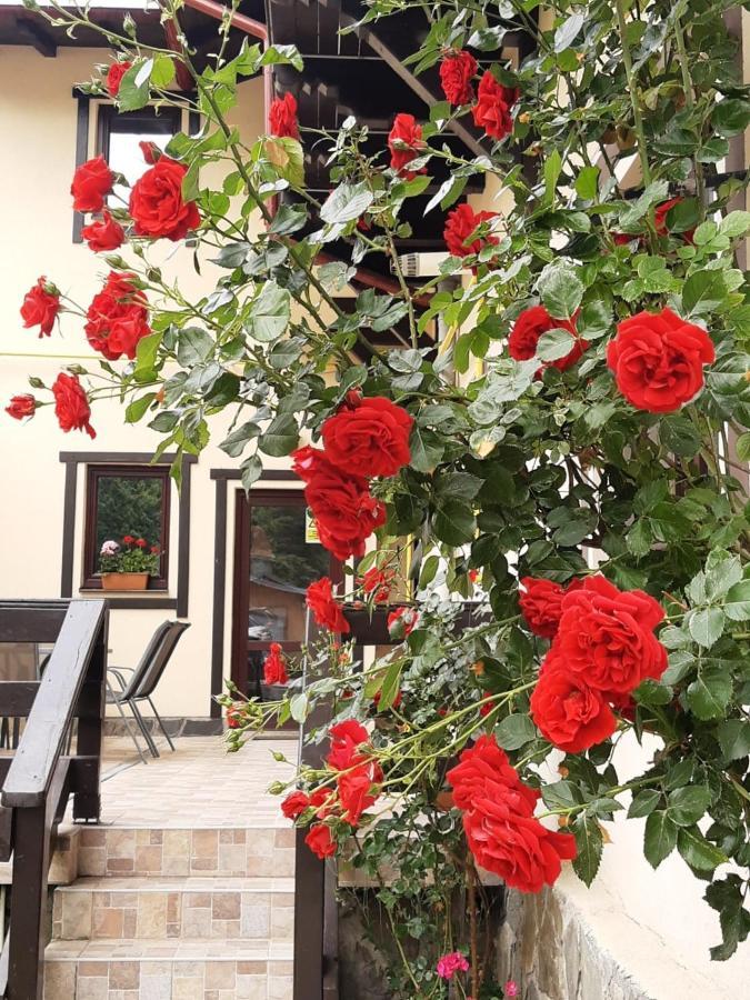 Casa cu Flori Hotel Buşteni Exterior foto