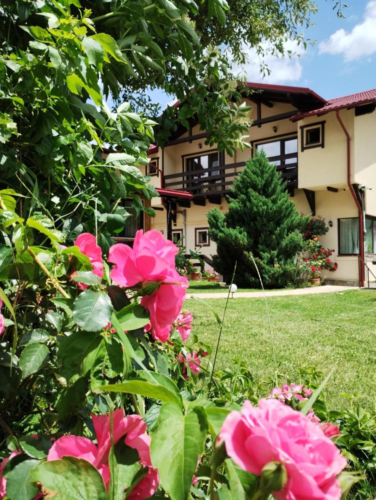 Casa cu Flori Hotel Buşteni Exterior foto